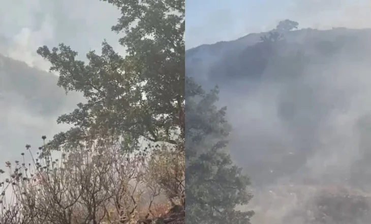 Vijon prej 30 orësh zjarri në Pilur të Himarës, flakët drejt Porto Palermos