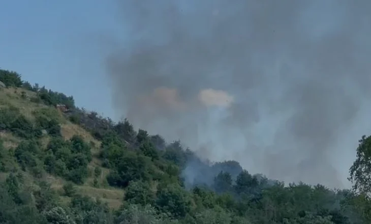 Zjarr afër ish-repartit ushtarak të tankeve në Maliq, shkak temperaturat e larta