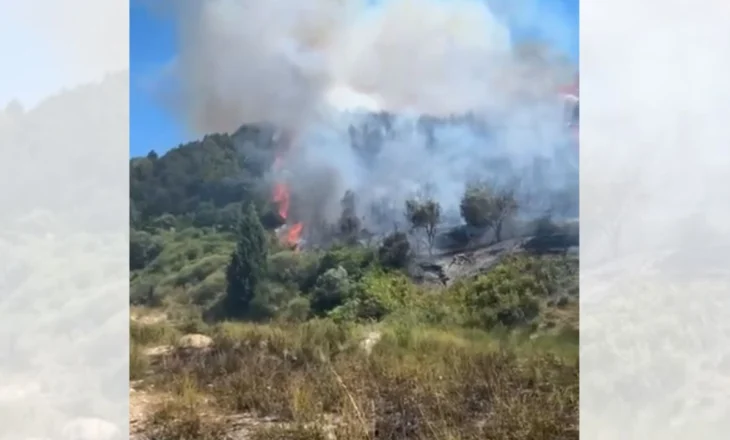 Zjarr i fuqishëm në fshatin Hoshtimë të Vlorës, era e fortë iu vështirëson punën zjarrfikësve
