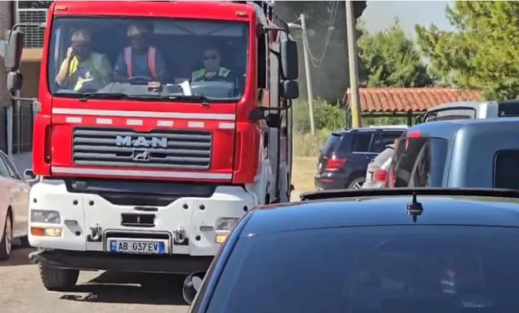 Zjarr masiv në pyllin e Darzezës, ndërhyjnë zjarrfikëset