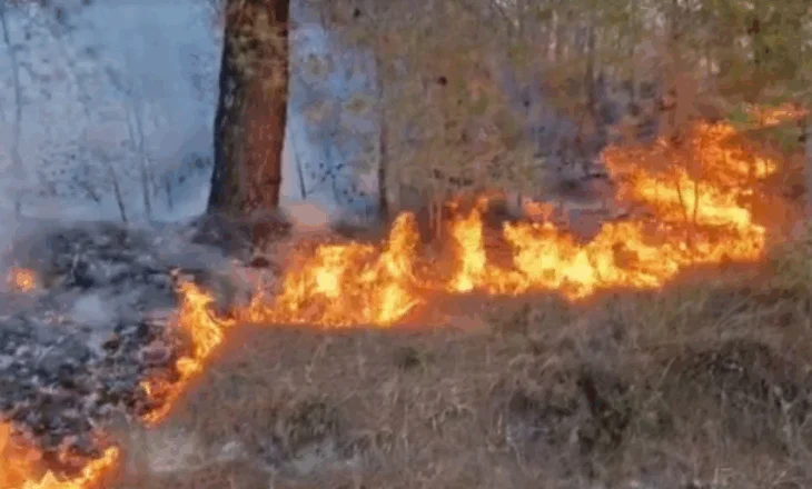 Zjarr në afërsi të urës së Kardhiqit, flakët shkrumbojnë zonën me bimësi dhe rrezikojnë një banesë