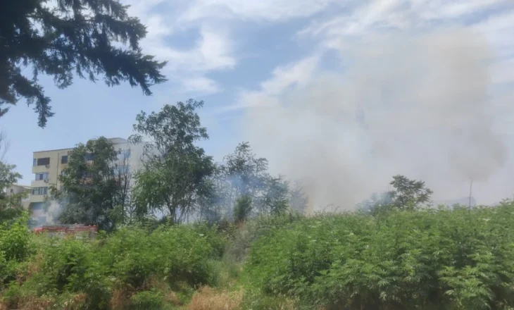 Zjarr në kryeqytet, përfshihet nga flakët një sipërfaqe me shkurre në Laprakë (Video)