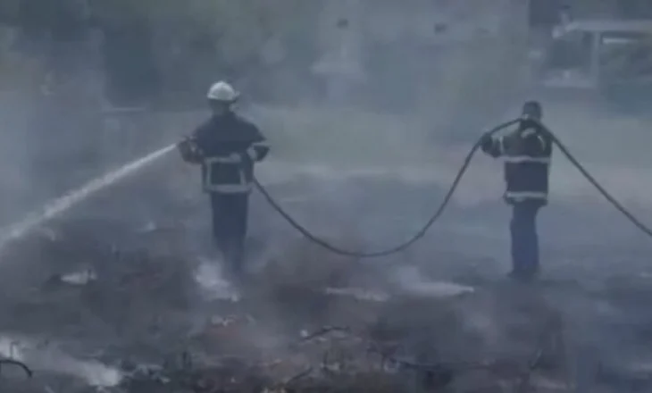 Zjarr në lagjen ’30 Vjetori’ në Berat, digjet një zonë me shkurre e ferra, dyshime për zjarrvënie të qëllimshme
