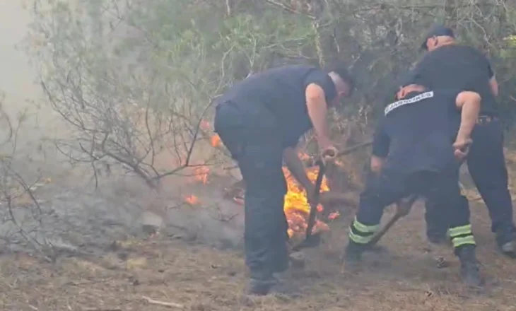 Zjarr në pyjet e Darzezës, zjarrfikësit në ‘luftë’ për shuarjen e flakëve