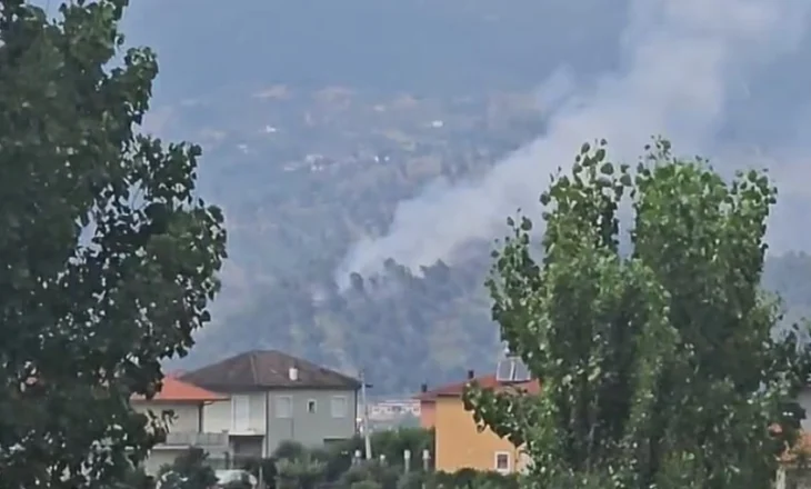 Zjarr në pyllin me pisha në Krastë