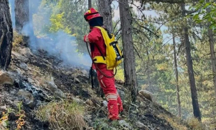 Zjarre në 12 bashki gjatë 24 orëve të fundit, nuk raportohet për dëme në njerëz, forcat ajrore dhe zjarrfikësit në gatishmëri