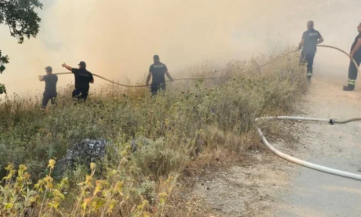 Zjarret në vend, Ministria e Mbrojtjes: Dy vatra aktive në qarqet Vlorë dhe Kukës, po ndërhyet nga ajri