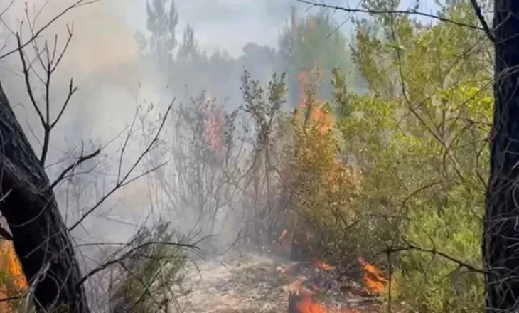Zjarri në Darëzezë, ngrihet në fluturim helikopteri për ndihmë nga ajri