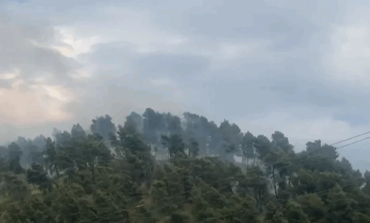 Zjarri në Kodër Krastë, situata bëhet alarmante