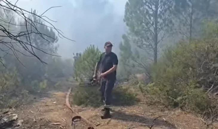 Zjarri në masivin pyjor të Darzezës, pas disa orësh përpjekje neutralizohen flakët