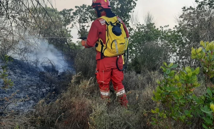 20 vatra zjarri gjatë 24 orëve! Në Dibër, Shkodër dhe Gjirokastër, ende aktive
