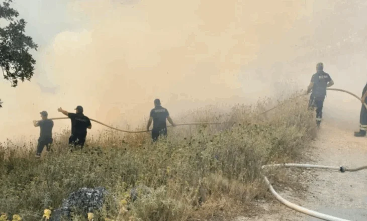 21 vatra zjarri në 24 orë, 5 ende aktive, mbi 90 hektarë të djegura