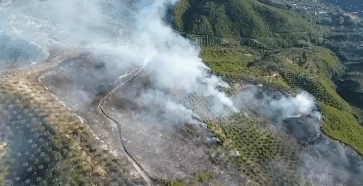 24 vatra zjarri në 24 orë në Shqipëri, 4 ende aktive, mbi 154 hektarë të djegura