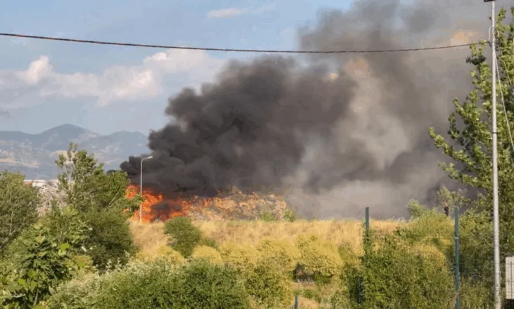 24 vatra zjarri të raportuara në 24 orë, 6 zona ende aktive. Mes tyre edhe landfilli i Elbasanit