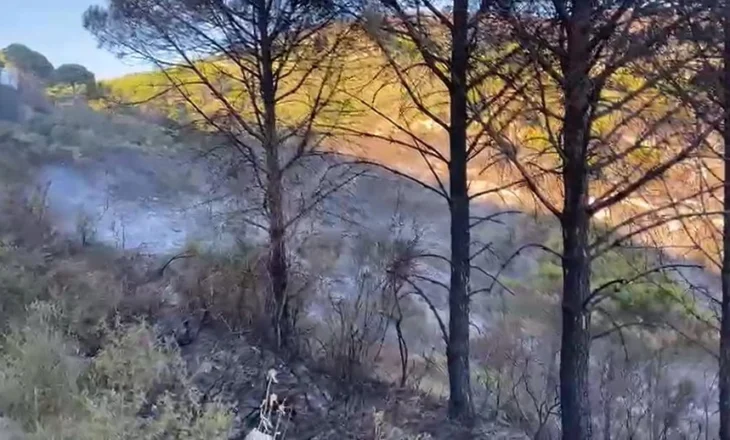30 forca të ushtrisë i bashkohen operacionit, vatrat e zjarrit në Belishovë të Mallakastrës drejt shuarjes