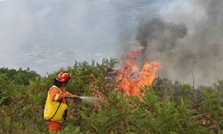 4 vatra zjarri vijojnë të jenë aktive! 17 hektarë sipërfaqe e djegur në Bulqizë, flakët rrezikojnë një pjesë të Parkut Kombëtar Lurë