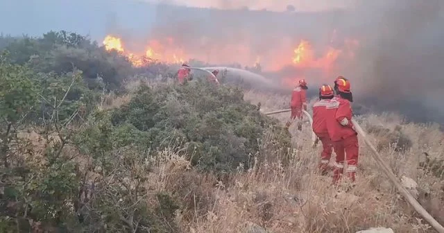 5 piromanë të dënuar në 4 vite, “zjarri” i Ramës ndaj zjarrvënësve u “fik” në sallat e gjyqit