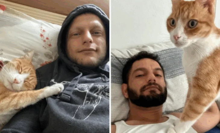 A mund të shpëtojë një mace jetën e një njeriu? Ja çfarë ndodhi me këtë të ri nga Turqia