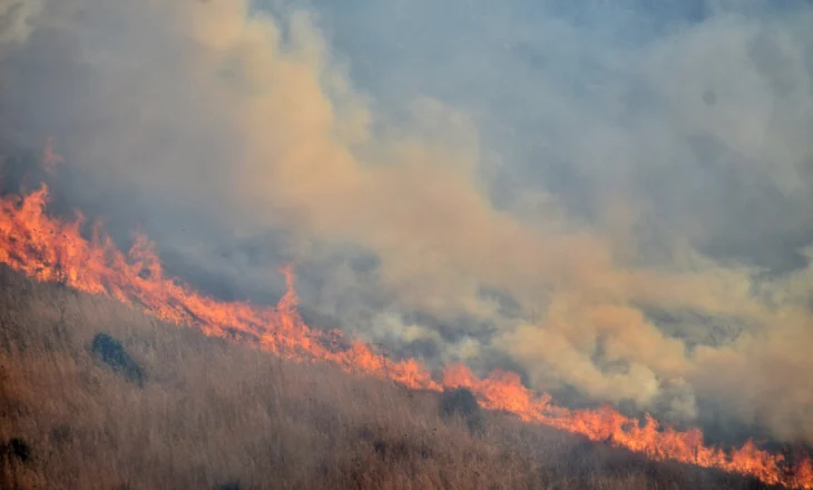 Alarm evakuimi edhe në Konispol, shumë shtëpi rrezikohen nga zjarri