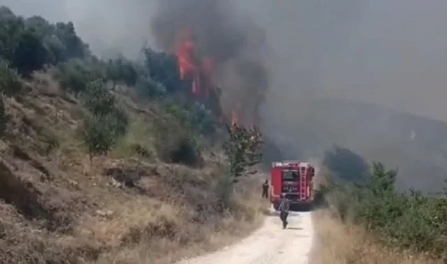 Alarm në Dimal/ Zjarri del jashtë kontrollit, përhapet me shpejtësi drejt ullishtave, banorët në ndihmë