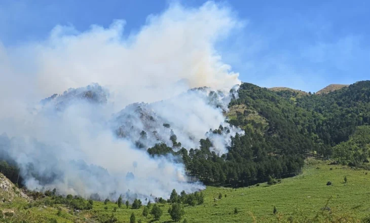 Alarm në Dukat, zjarri rrezikon edhe Parkun Kombëtar të Llogarasë! Flakët po përparojnë drejt majës së malit