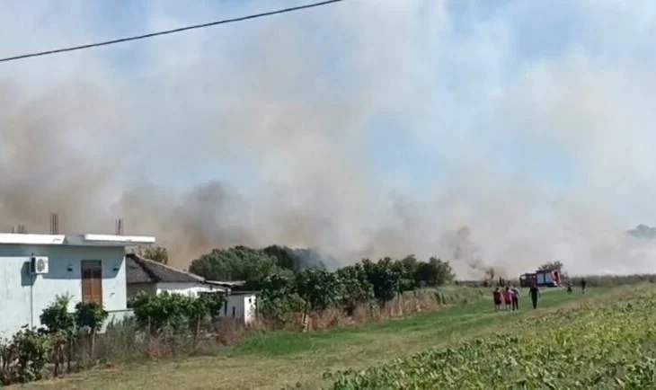 Alarm në Lushnje! Zjarri i fuqishëm u afrohet shtëpive, banorët dalin në terren