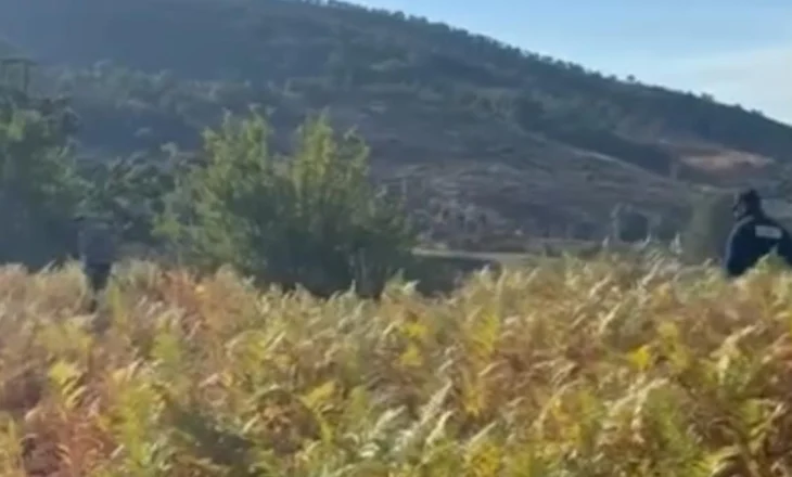 Arrestohet zjarrvënësi, ishte në arrest shtëpie, doli dhe ndezi zjarrin