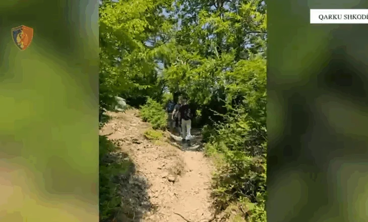 Asgjësohen mbi 3 mijë bimë narkotike, procedohen dy kryepleq në Shkodër dhe roja