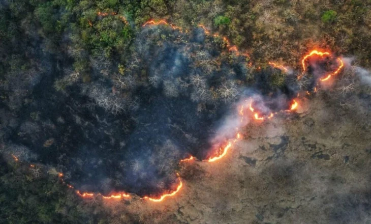 Ballkani në flakë, digjen zona të tëra me pyje! Zjarrfikësit të mbingarkuar, kanë mungesë pajisjesh