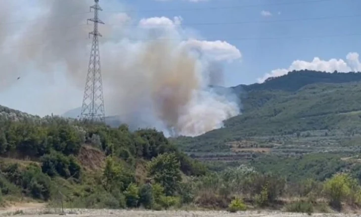 Berat/ Zjarret në Mbrakull dhe Virjon përfshijnë sipërfaqe pyjore, rrezikohen banesat