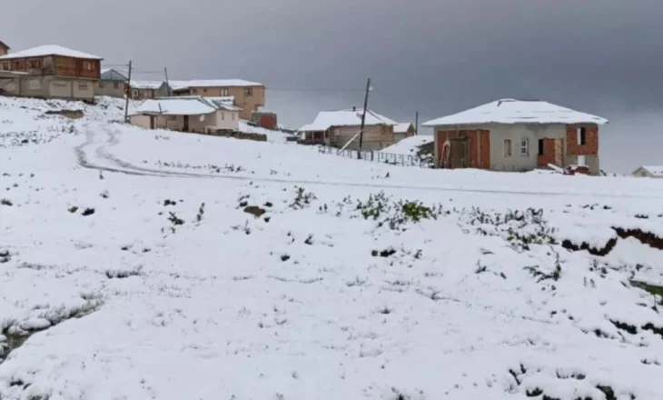 Borë “mes” zjarreve, dy qytete në Turqi ‘zbardhen’ në fillim të korrikut