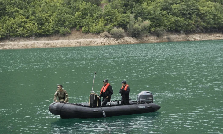 Britania, Franca dhe Italia reagojnë për operacionin në Ujman