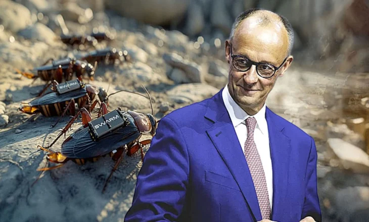 Buburrecat spiunë dhe robotët e inteligjencës artificiale: Gjermania planifikon të ardhmen e luftës