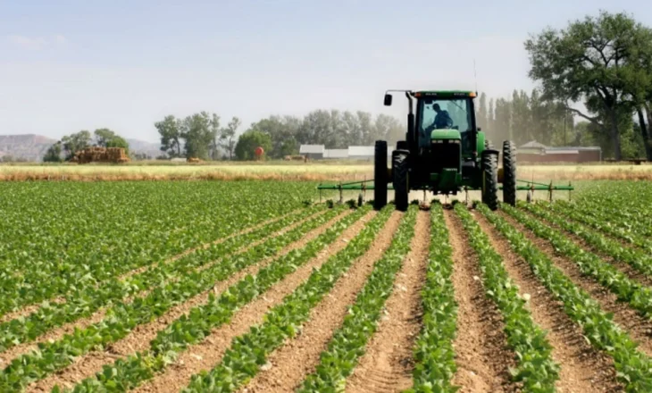 Censi për bujqësinë / 890 mln lekë për realizimin, gjobë kush nuk jep informacione për numrin e bagëtive