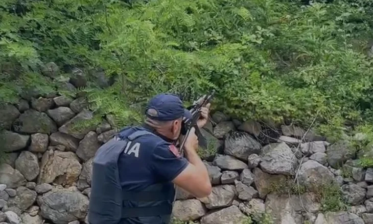 Çfarë ndodhi në Theth? Reagon policia