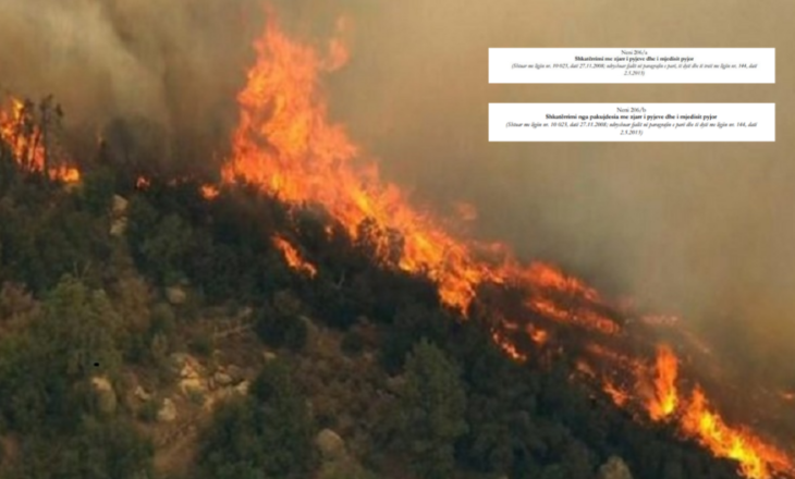 Deri në 20 vite burg, çfarë rrezikojnë zjarrvënësit në Shqipëri