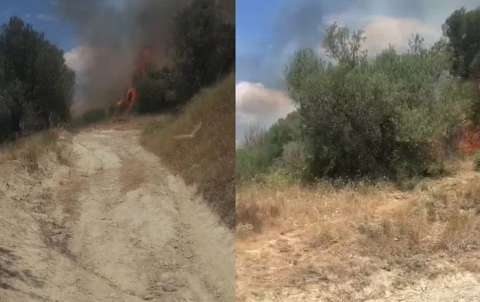 Dimal/ Zjarr në fshatin Malas-Bregas, shkrumbohen qindra pemë ulliri