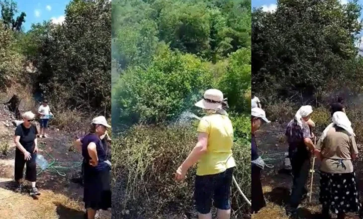 Dogjën barishtet te toka e tyre, por zjarri rrezikoi fshatin, arrestohen 2 persona