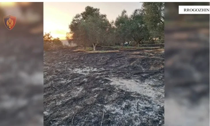 Dogji 10 ha bimë si dhe rrezikoi banorët, arrestohet 41-vjeçari në Rrogozhinë