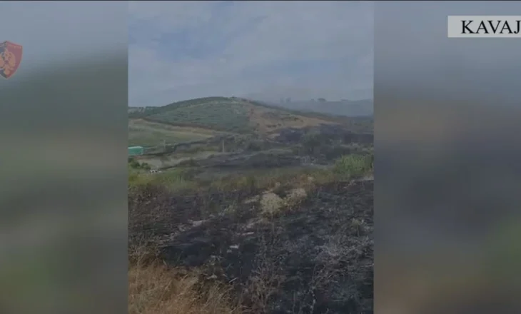 Dogji 10 hektarë tokë arë, identifikohet dhe procedohet penalisht autori i zjarrvënies në fshatin Helmës