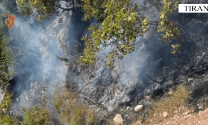 Dogji 600 hektarëve tokë me kullota dhe bimësi në Parkun../ Pranga 63 vjeçarit