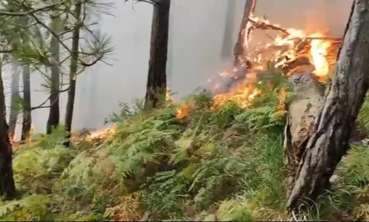 Dukati nën flakë prej 6 ditësh, zjarri “kërcënon” Llogaranë! Banorët: Duhet ndërhyrje nga ajri