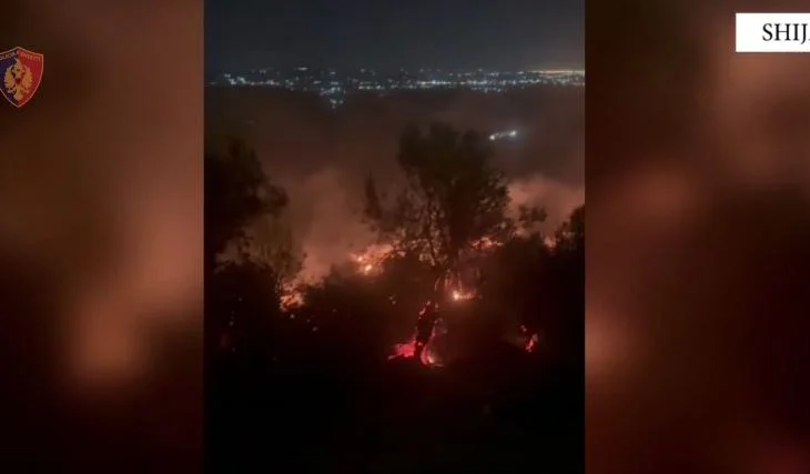 E nisi për “pastrim”, i vuri flakën pyllit! Arrestohet 58 vjeçari në Shijak