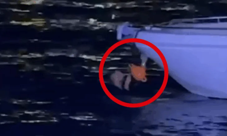 EMRAT / Njëri u hodh në det për t’i shpëtuar Policisë. Kush janë 3 të arrestuarit në Sarandë. Gjendet arma dhe…