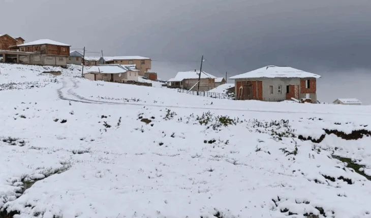 Fenomen i pazakontë në Turqi/ Në bregdet zjarrfikësit prej ditësh në luftë me zjarret, në male bie dëborë në korrik