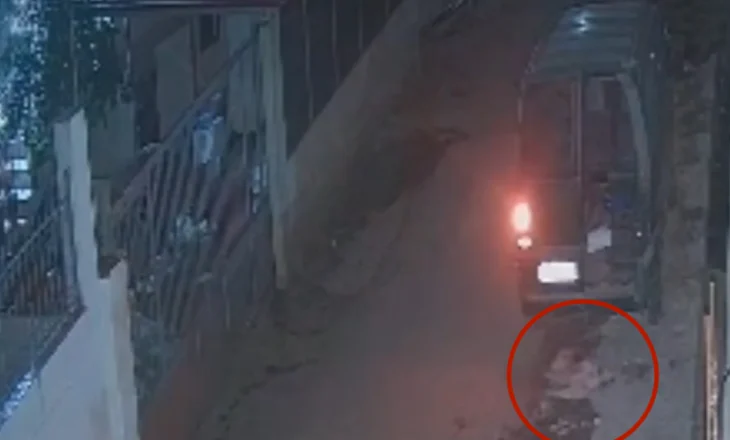 Fier – Procedim penal për 67-vjeçarin që qëlloi me armë gjahu një qen