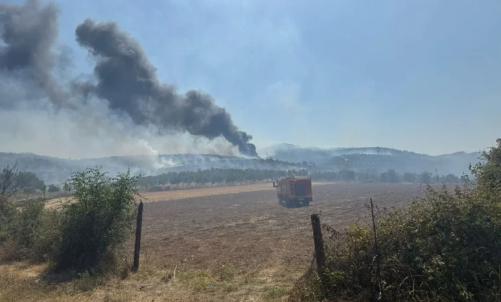 Fiket zjarri që rrezikonte zonat e banuara në Belsh, ndërhyrja nga ajri solli shuarjen e flakëve