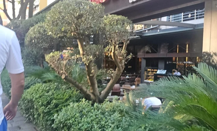 Fushata e Ramës! IMT e Bashkisë Tiranë mbush xhepat me lekë dhe fal kioskat te “Delijorgji” (Foto)