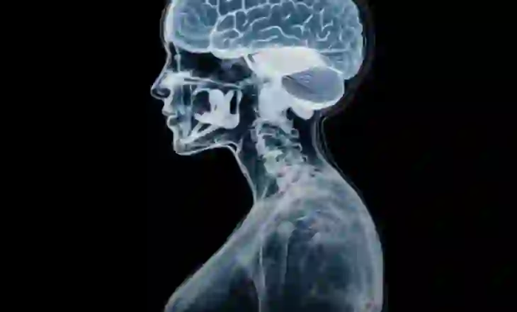 Gjatë shtatzënisë, truri i gruas zvogëlohet, por bëhet më i fuqishëm emocionalisht