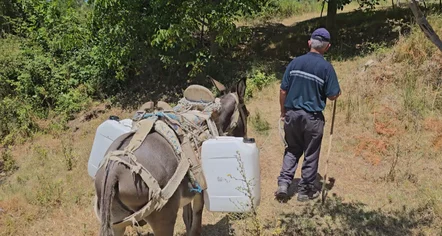 Gjerbësi vuan për ujin e pijshëm, një çezmë për 120 familje